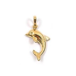 1480POR - Chaine, pendentif...